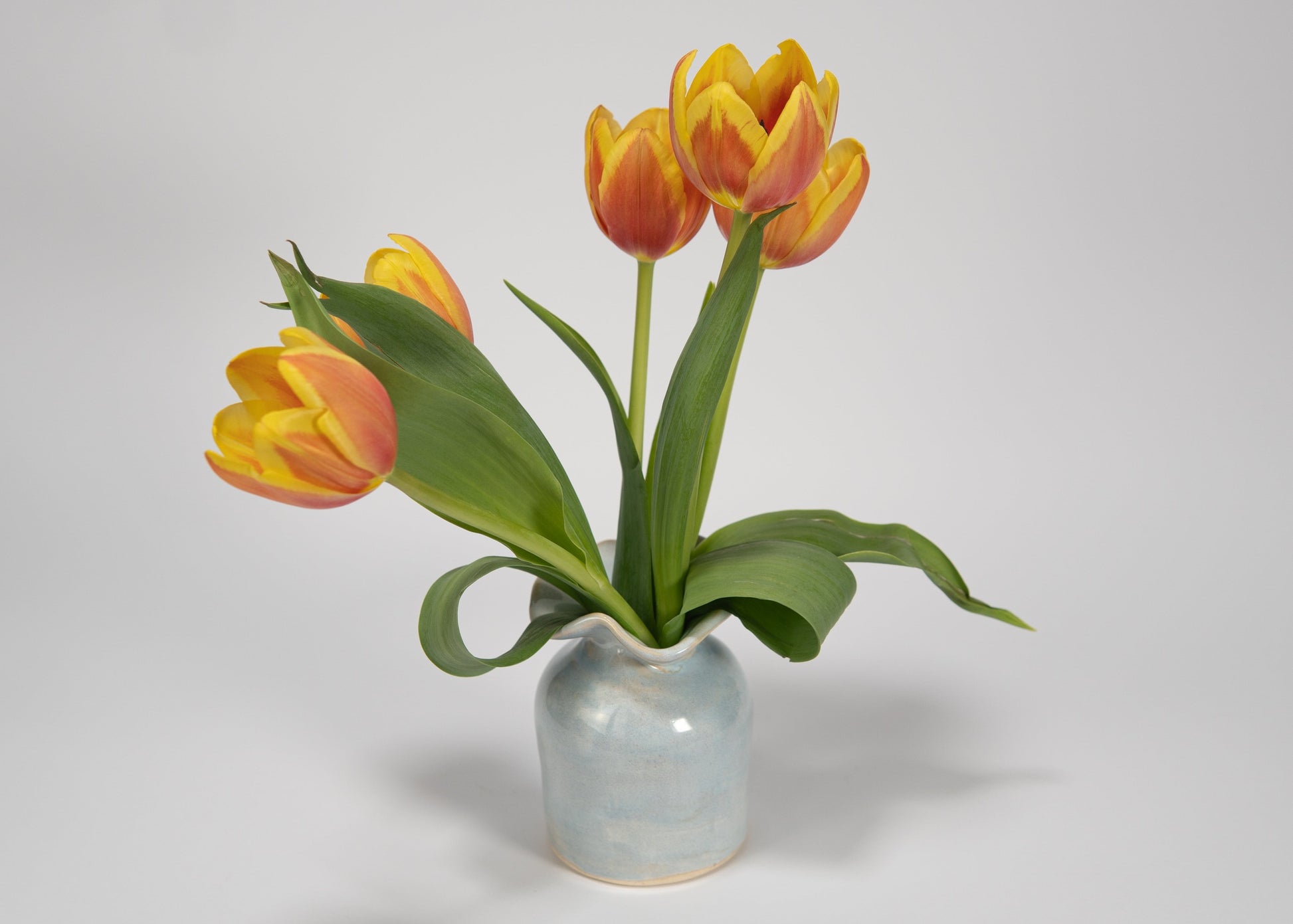 Yellow and orange tulips in a small vase on a light gray background