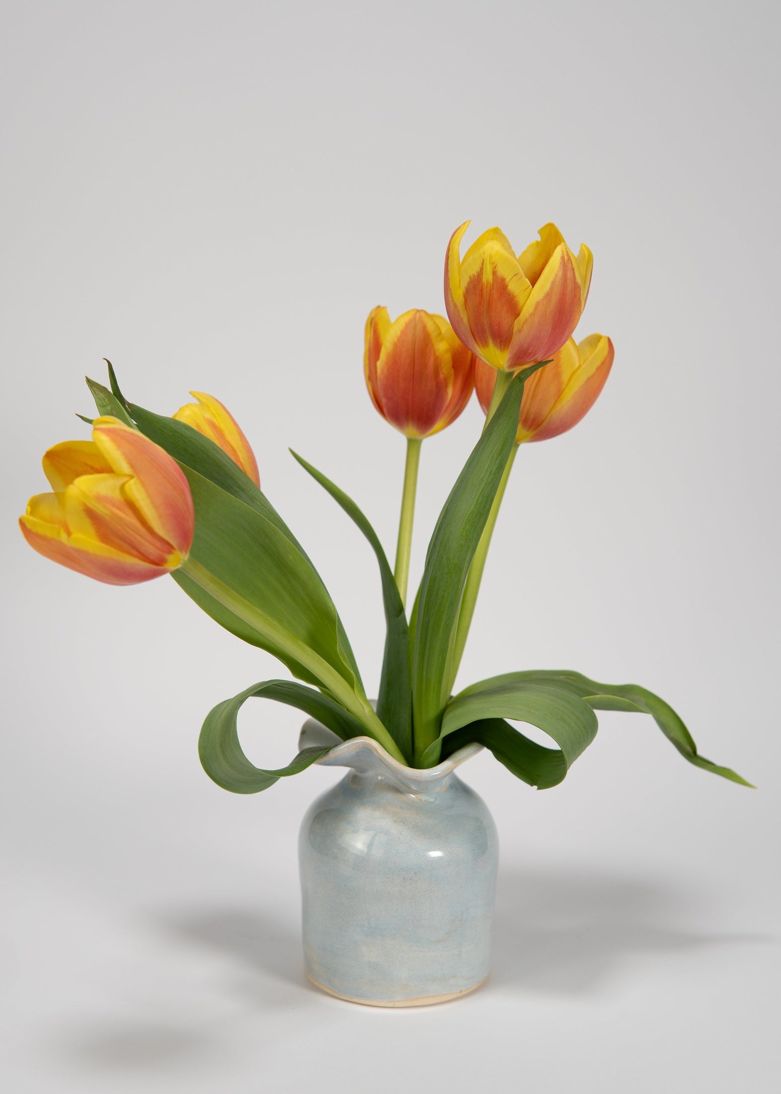 Vase with red and yellow tulips on a white background