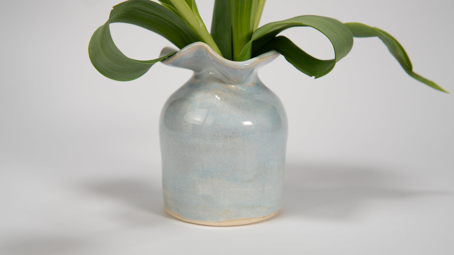 Ceramic vase with a plant on a white background